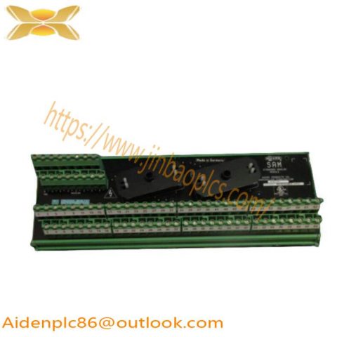 Moore 16169-1-07 SAM Standard Analog Module: Precision Control at Your Fingertips