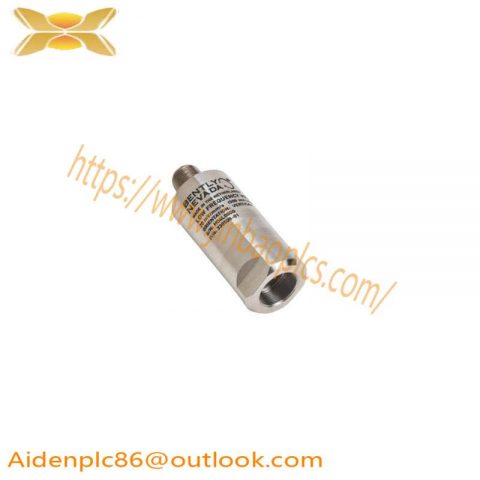 Bently Nevada 330505-02: High Performance Low Frequency Velocity Sensor