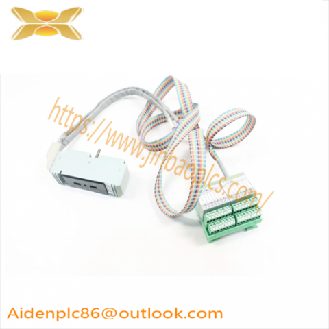 FOXBORO P0500SR Industrial Control Termination Cable Assembly
