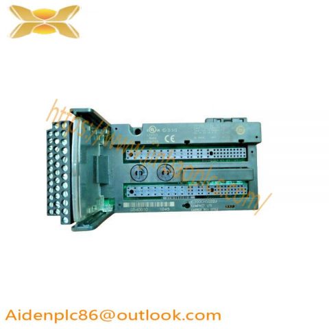 GE IC200CHS022J Analog Input Module