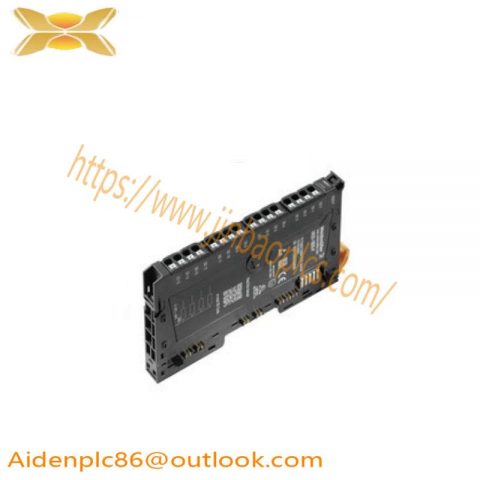 Weidmuller RM-16DO: Remote I/O Module for Industrial Control Systems