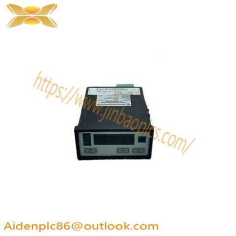 Negele Prozessoren-Anzeige DPM-GS-2GW-S Digital Display - High Precision Measurement & Control